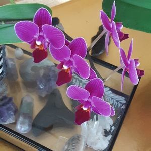 Meet your Posher, Vicki